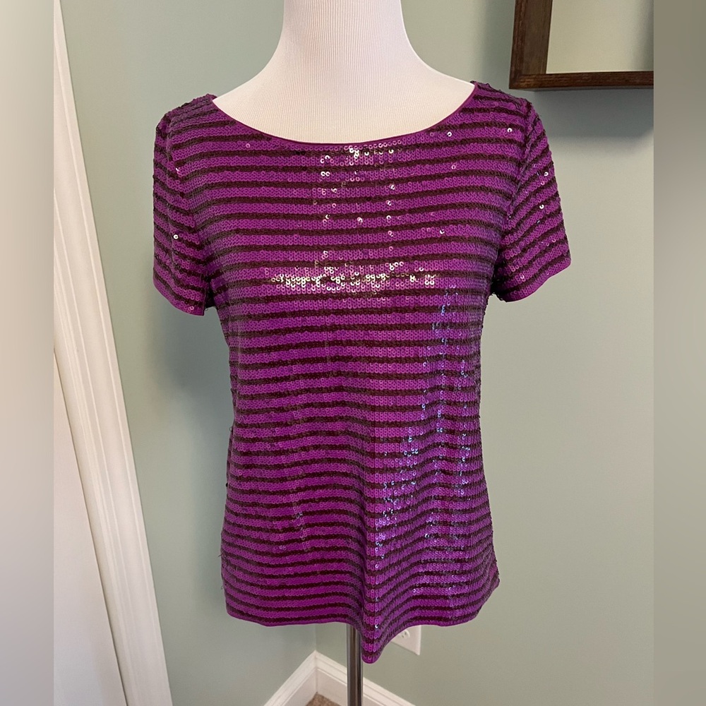 J.Crew Purple Stripe Sequin Top Size Small